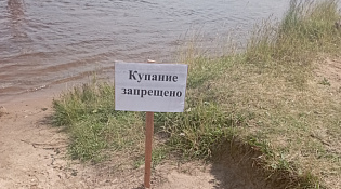 Мониторинг обеспечения безопасности на водных объектах