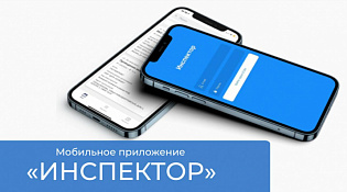 Мобильное приложение «Инспектор»: консультация с инспектором может проходить в формате видеоконференцсвязи