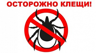 ОСТОРОЖНО, КЛЕЩИ!