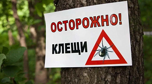 Осторожно: Клещи! 