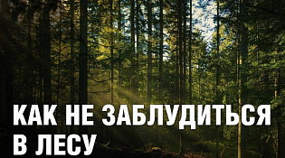 Как не заблудиться в лесу