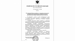 Программа профилактики рисков причинения вреда (ущерба) 