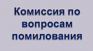 Выездное заседание комиссии по вопросам помилования