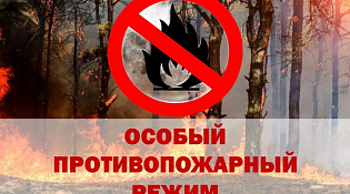 В Костромской области продолжает действовать особый противопожарный режим